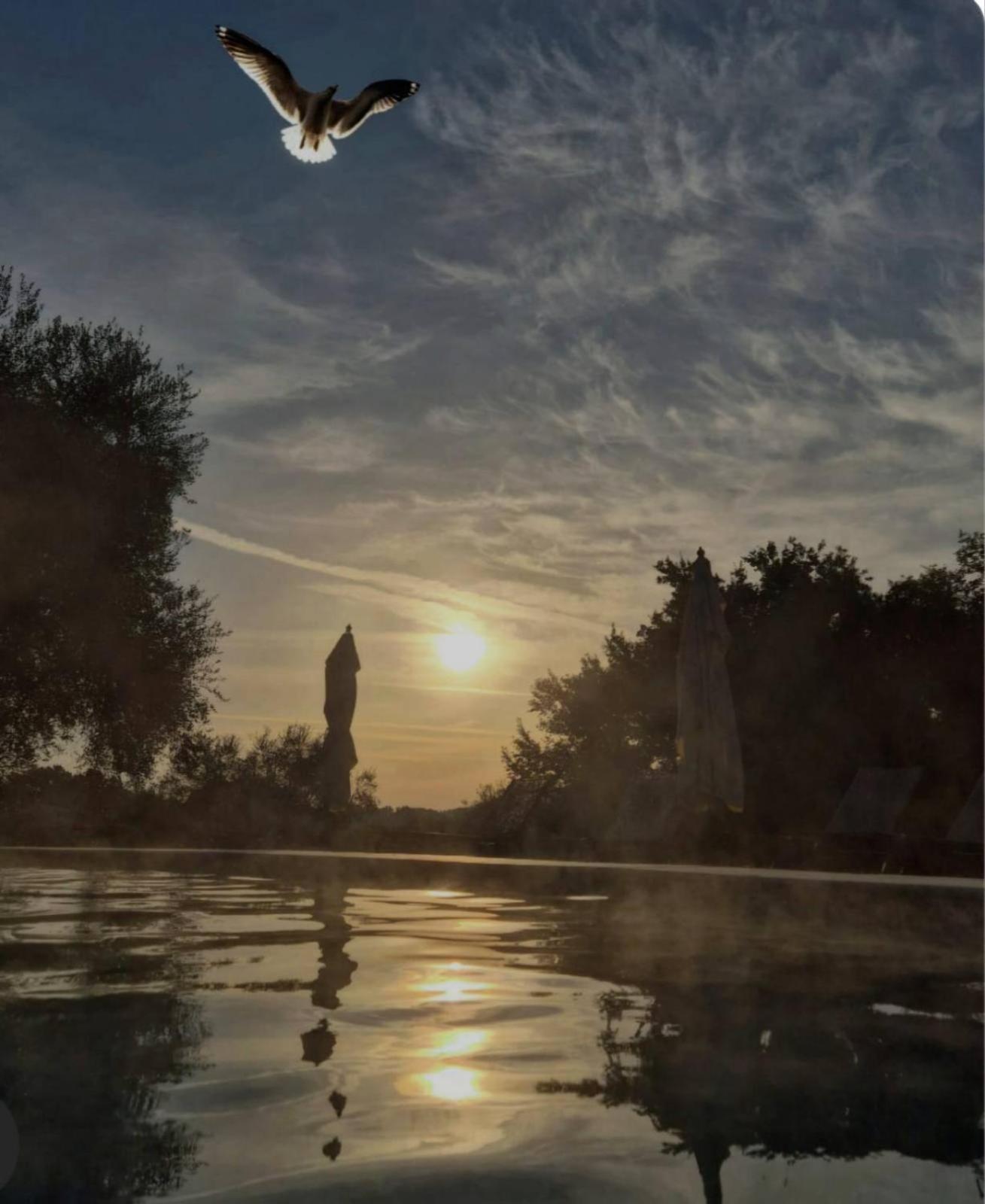 Pensjonat Fattoria Pianetti Manciano Zewnętrze zdjęcie